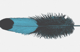 Phoenix Festival 2015
