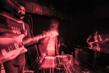 Shepherds