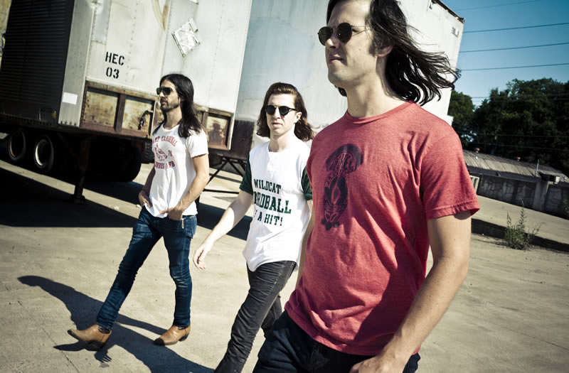 The Whigs