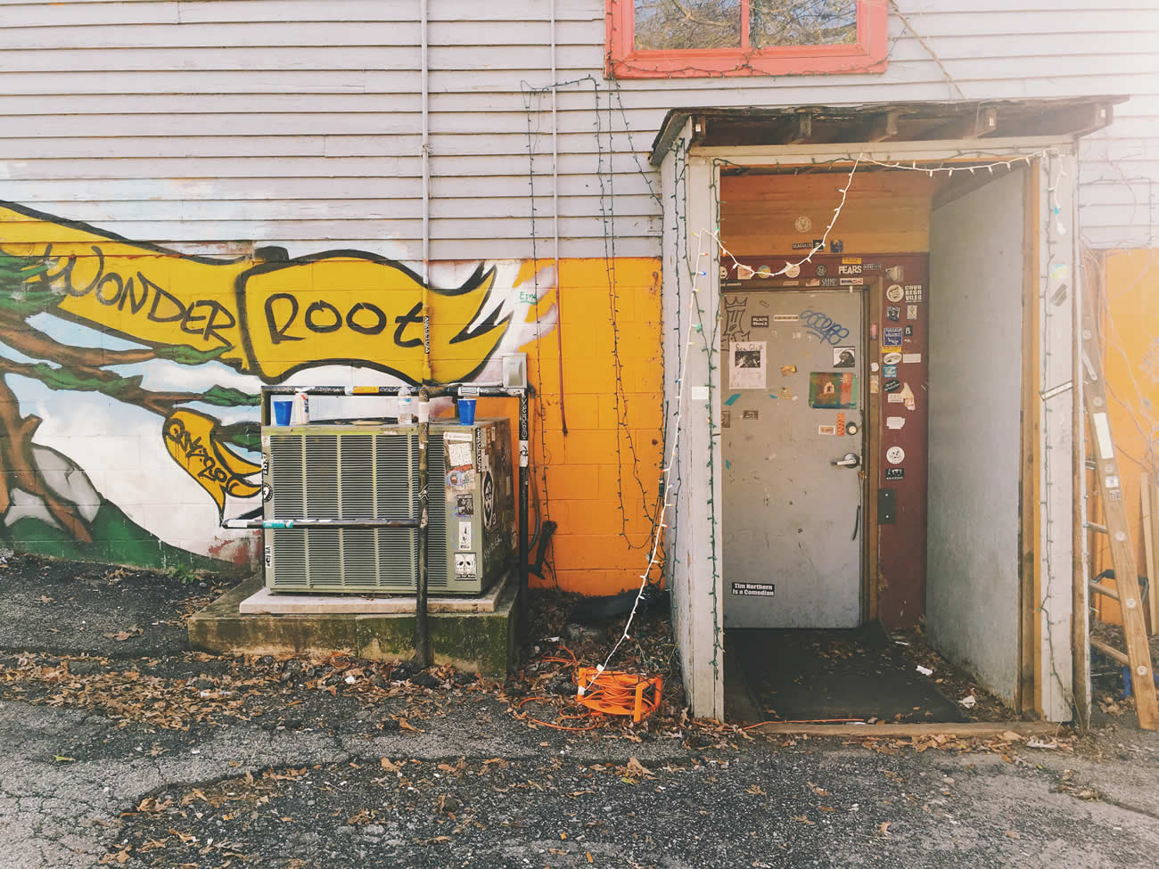 WonderRoot