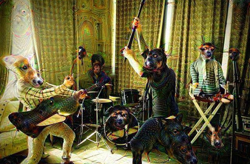 The Buzzards of Fuzz