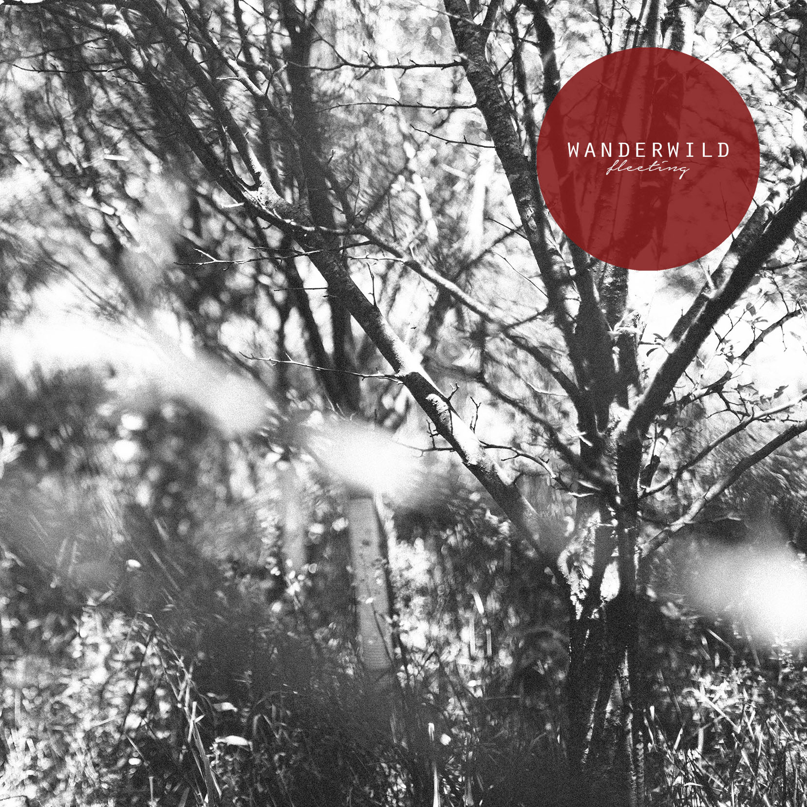 Wanderwild - Fleeting