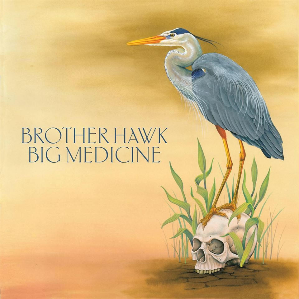 Brother Hawk - Big Medicine