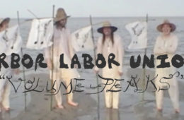 Arbor Labor Union - Volume Peaks