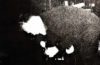 Bataille