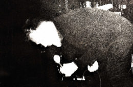 Bataille