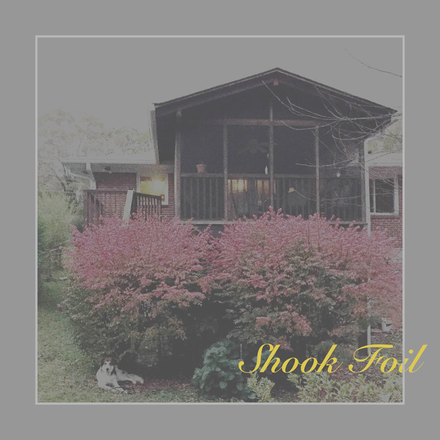 Shook Foil - I Feel No Pain