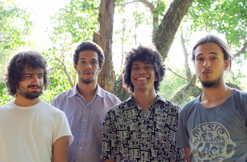 Boogarins
