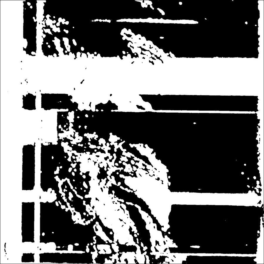 Thom Strickland - Bleachy Asshole