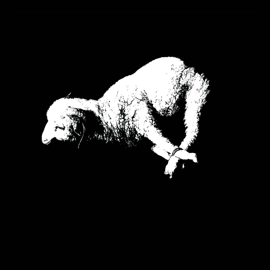 Bataille