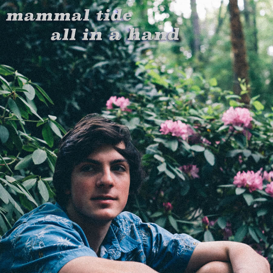 Mammal Tide - All in a Hand
