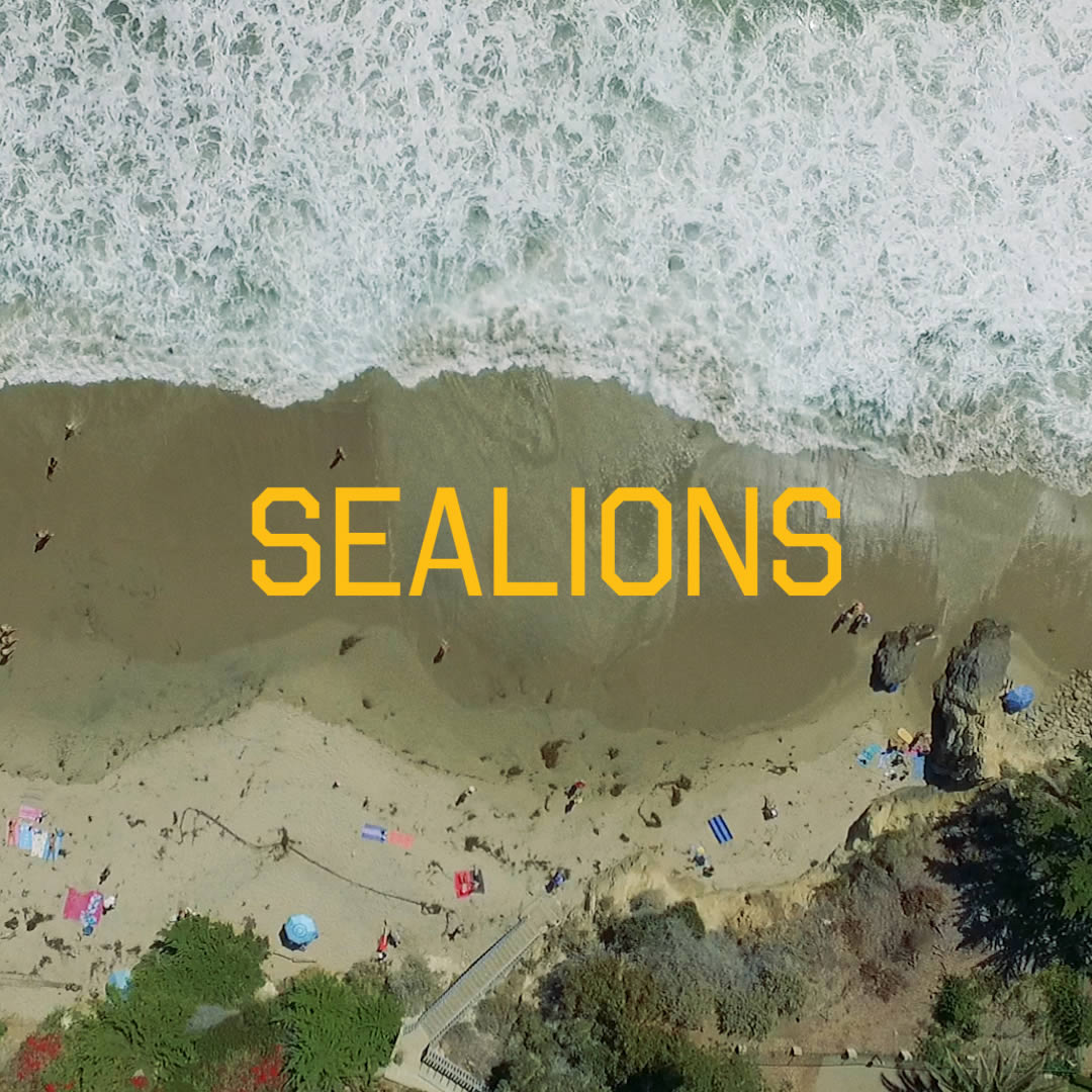 Sealions - Climbers
