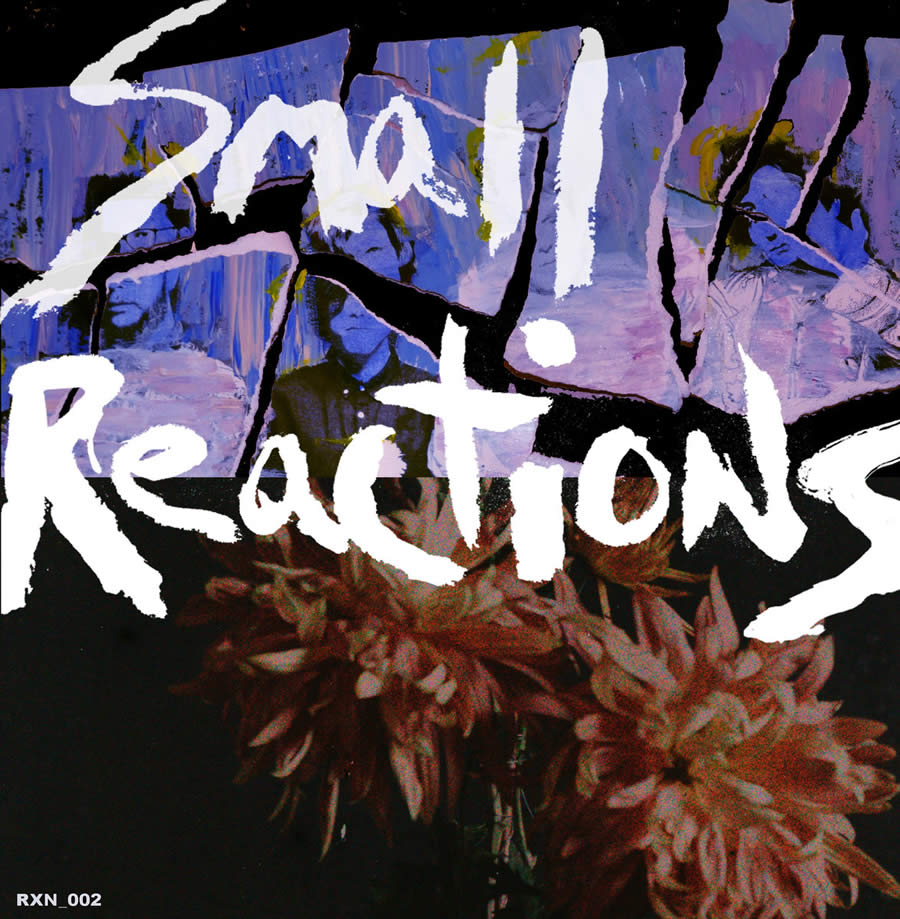 Small Reactions - RXN_002