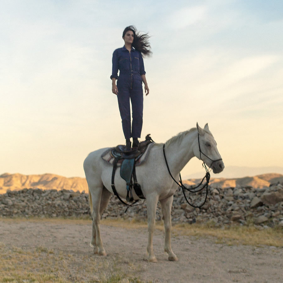 Mattiel LP