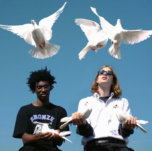 Danger Incorporated - Birds Fly By Night