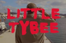 Little Tybee - Lost in the Field
