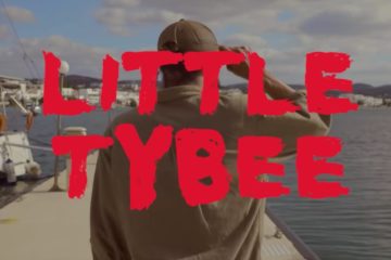 Little Tybee - Lost in the Field