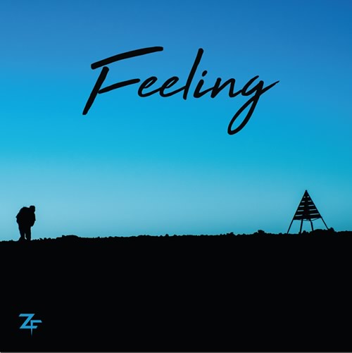 Zack Falls - Feeling