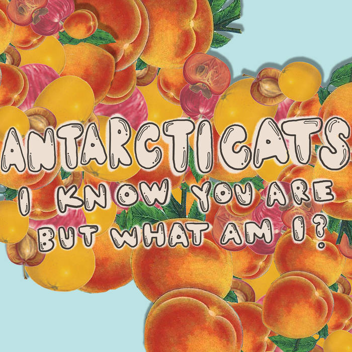 Antarcticats - I Know You Are, But What Am I?