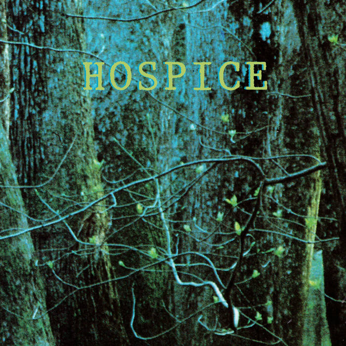 Hospice - Hospice