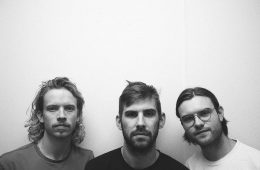 press photo of Wanderwild against a gray background.