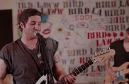 Bird Laww - Late Summer High