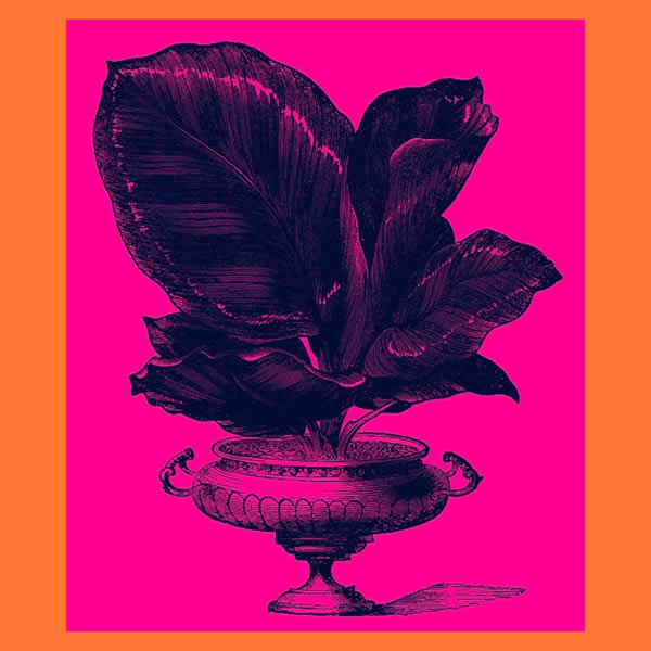 cover art for MORE's single No Time At All.