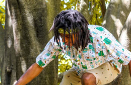 Akete in a tree
