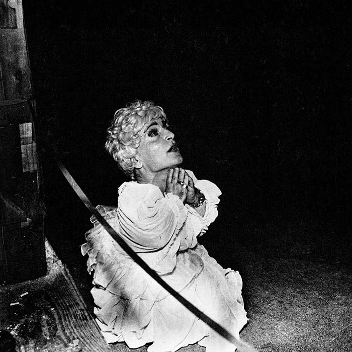 Cover of Deerhunter's Halcyon Digest