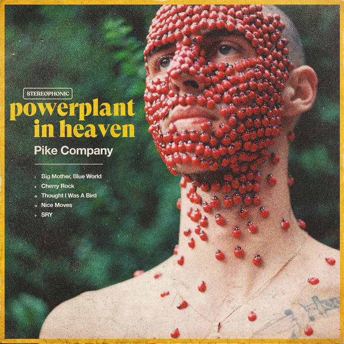 cover art for Pike Co.'s Powerplant in Heaven