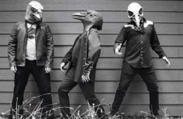 The Buzzards of Fuzz