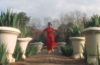 woman in red dress dancing amid white planters
