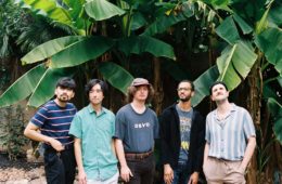 Members of Dinner time standing in front of palm trees