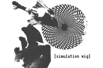 cover art for The Difference Machine's Simulation Wig single